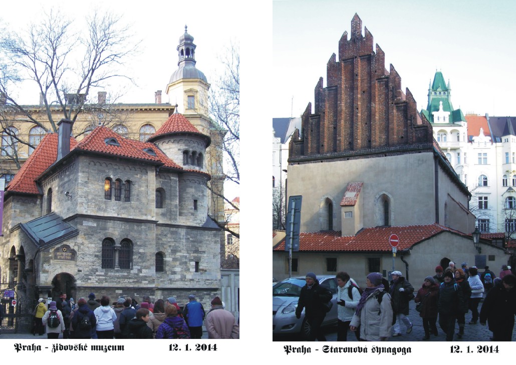 Staronová synagoga a muzeum