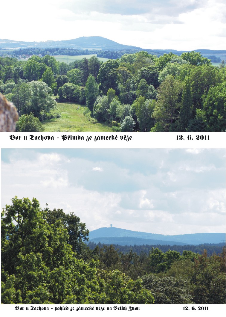 Český les z věže